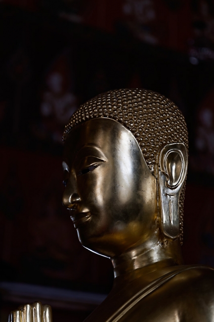 Wat Traimitr-NOV13-048